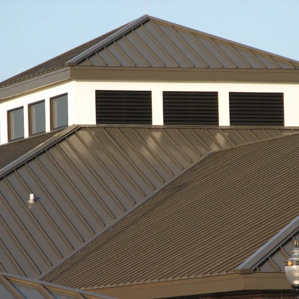 R panel Metal Roof Canaima